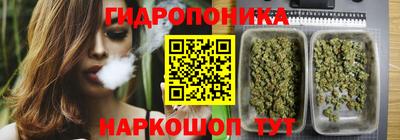 шишки Чебоксары